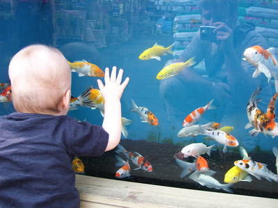Theodore aquarium